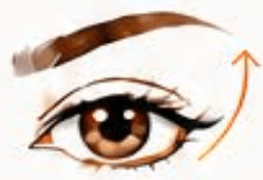 Brow Lift treatment area diagram