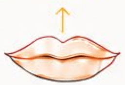 Lip Flip treatment area diagram